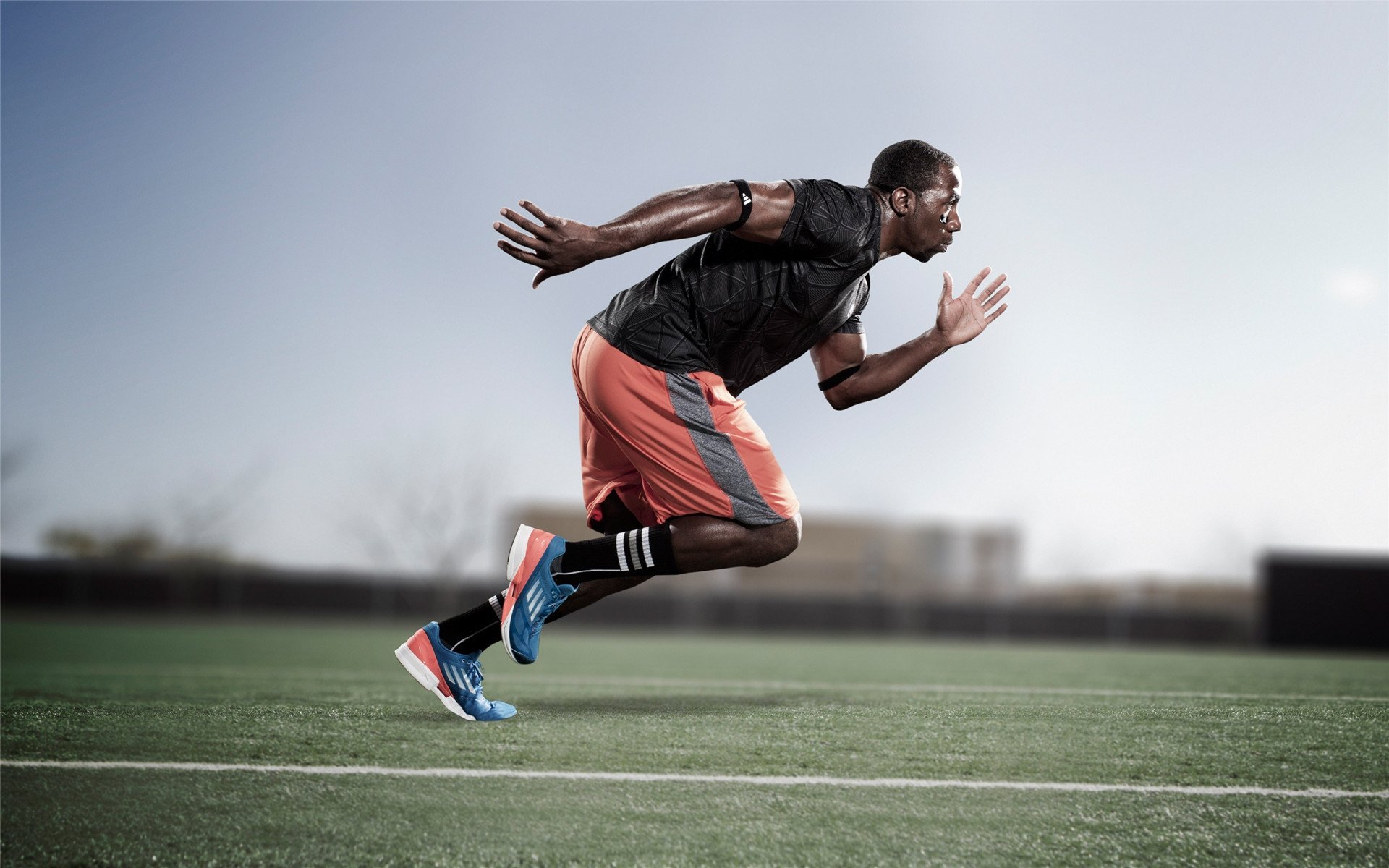 “自由搏击热血沸腾,四川省体育馆迎来强者对决”