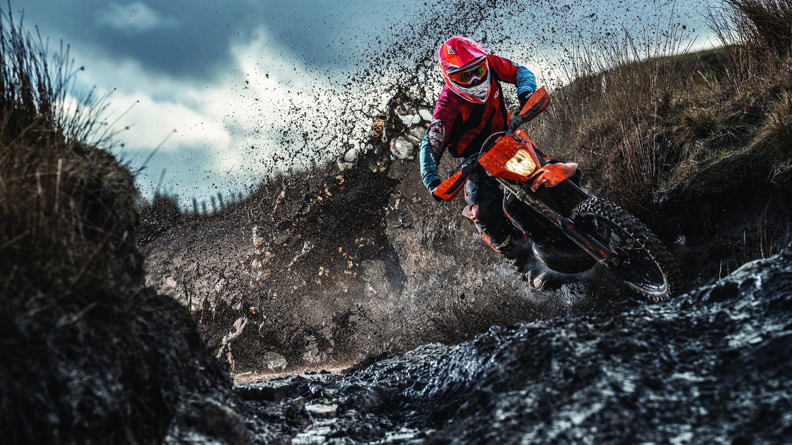 开云综合服务-世界纪录选手划水周期大公开，划水冠军表情包